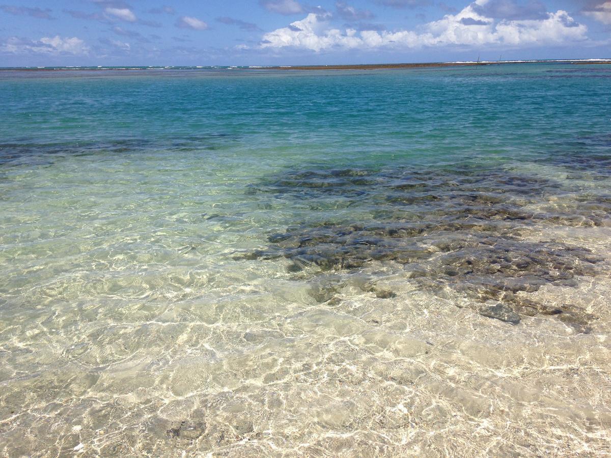Pôrto das Galinhas Villa Albardao Serrambi المظهر الخارجي الصورة